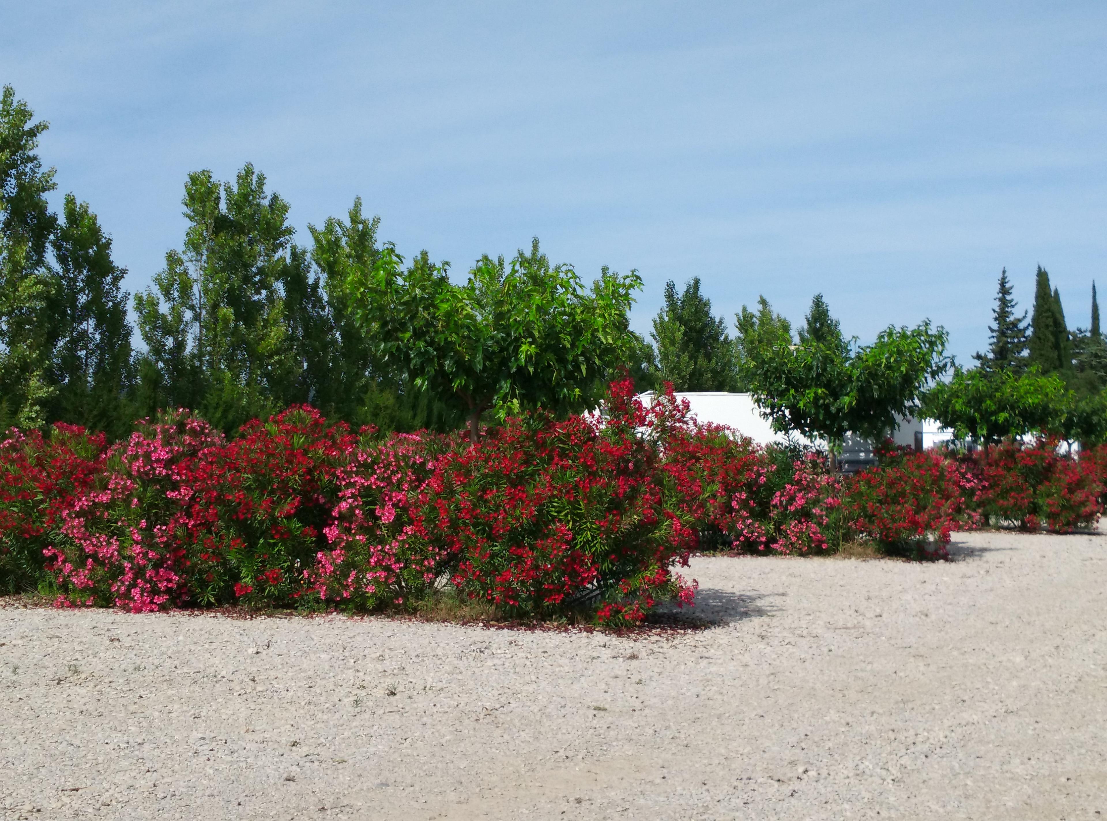 Aire Camping Car La Grappe - Foto 7