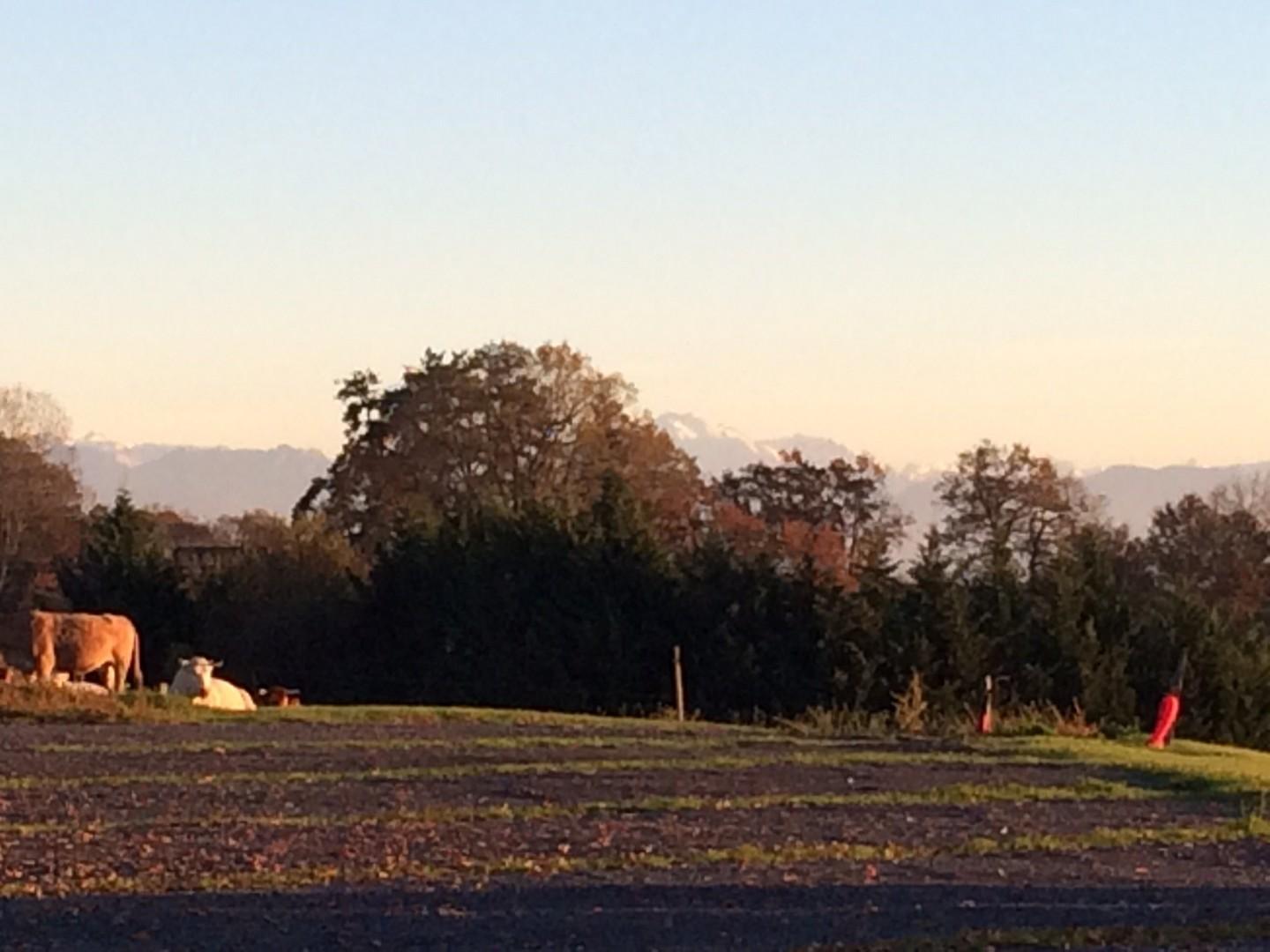 Aire De Camping Cars Labarraque - Foto 7