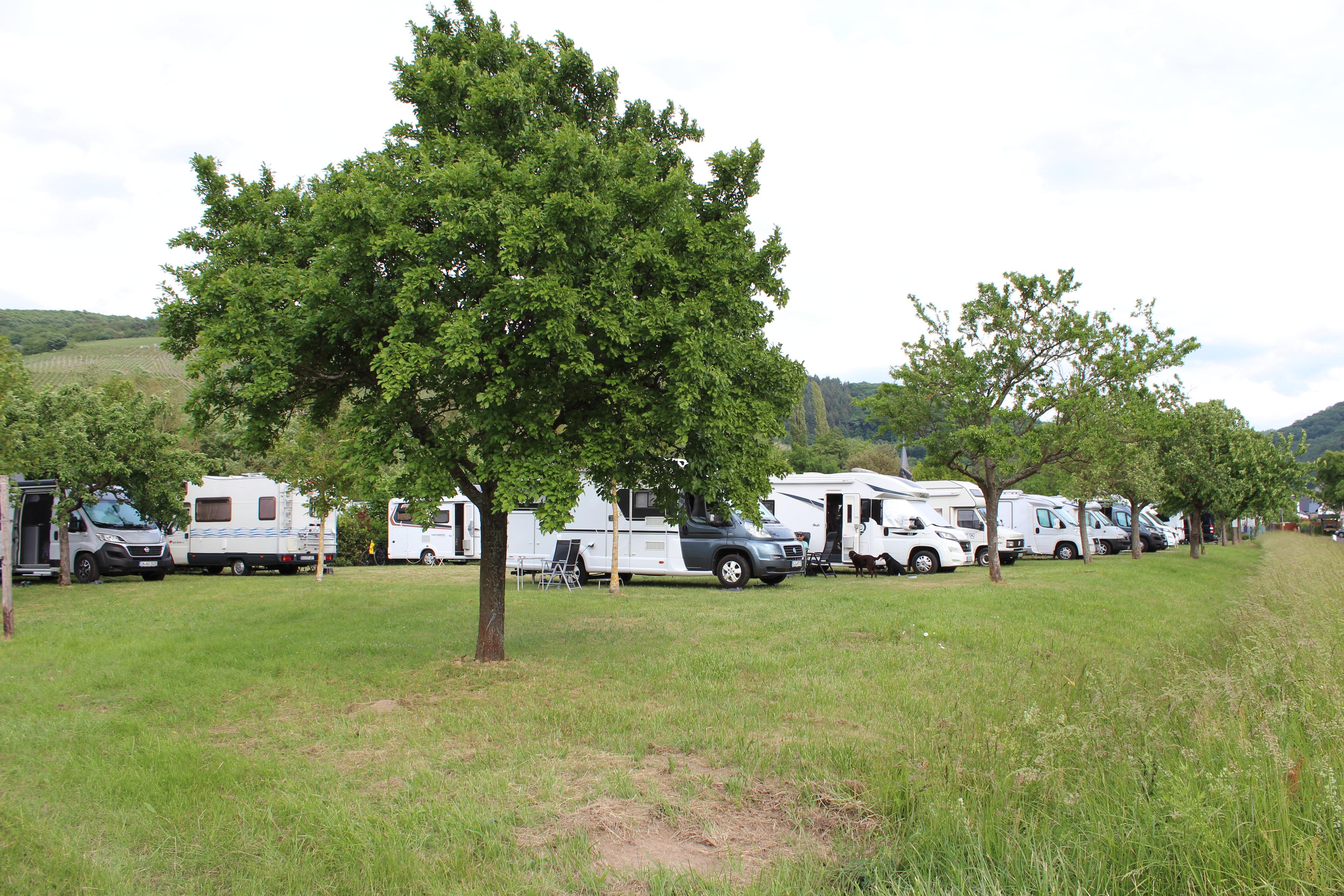 Wohnmobilplatz Veldenz - Foto 5