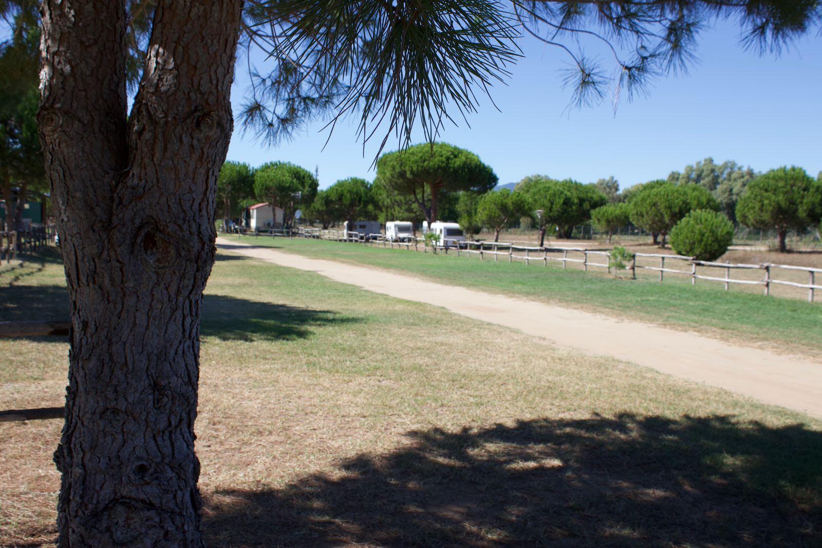 Areaparking Canova - Foto 5