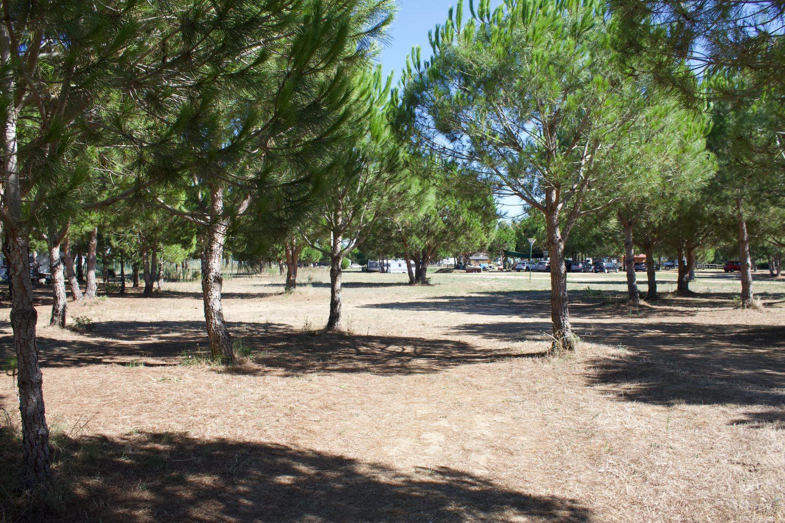 Areaparking Canova - Foto 2