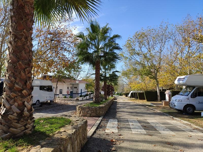 ROSALEDA RESORT - Foto 5