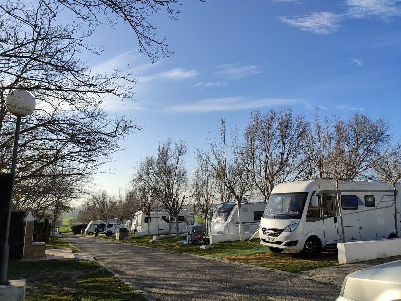 ROSALEDA RESORT - Foto 7