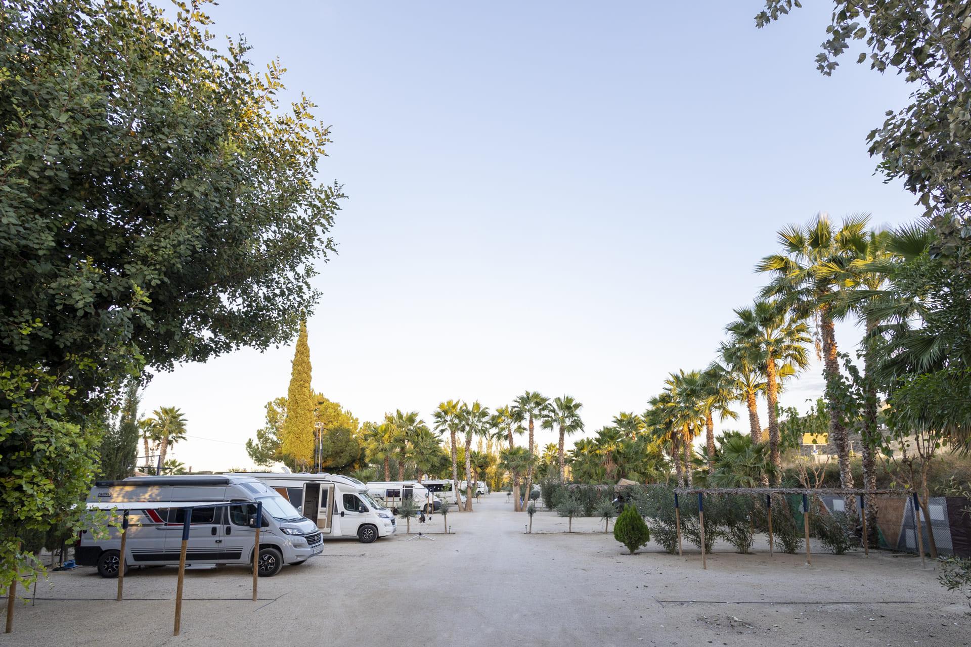 Camping Municipal Agraciada - Foto 4