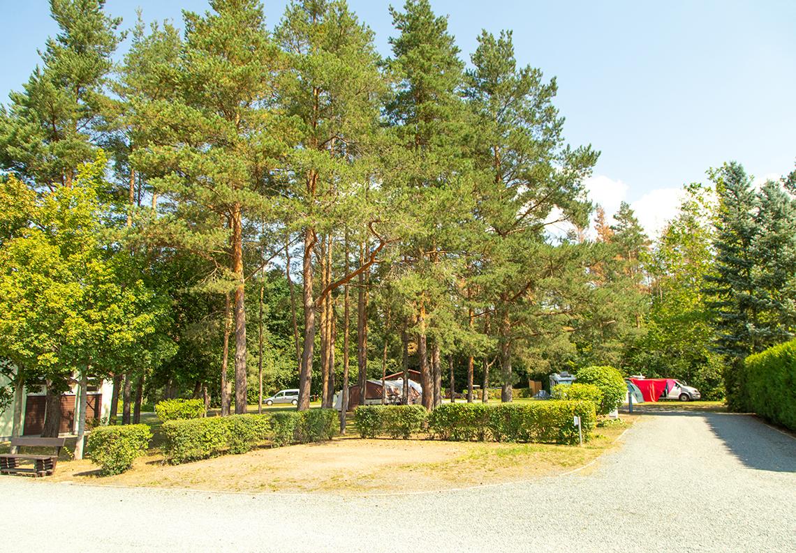 Wohnmobilstellplatz Pirna-Copitz-Elbparkplatz - Foto 6