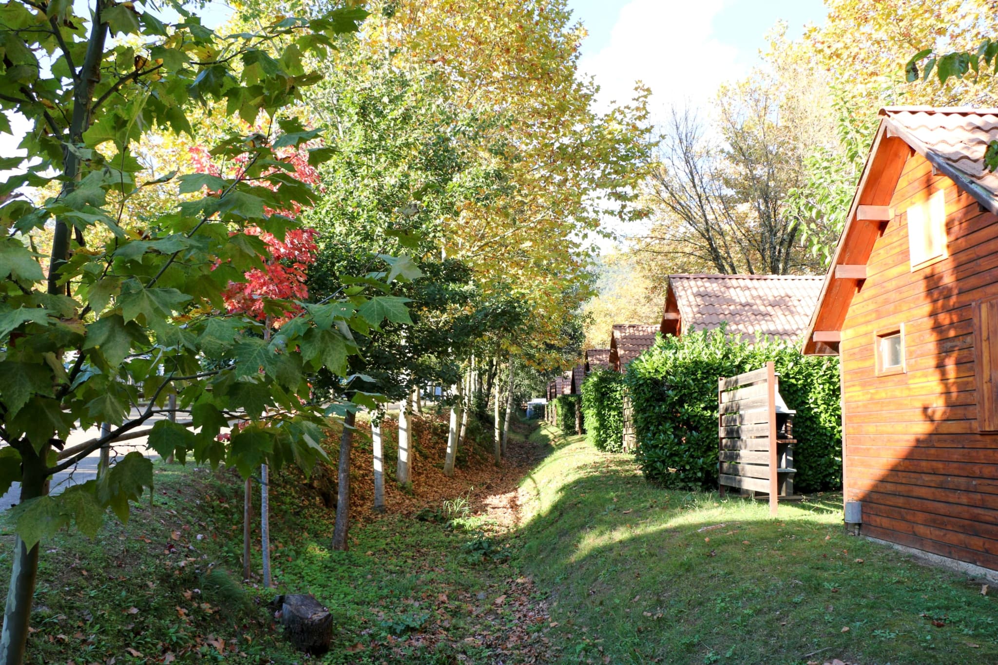 Camping de La Vall de Bianya - Foto 2