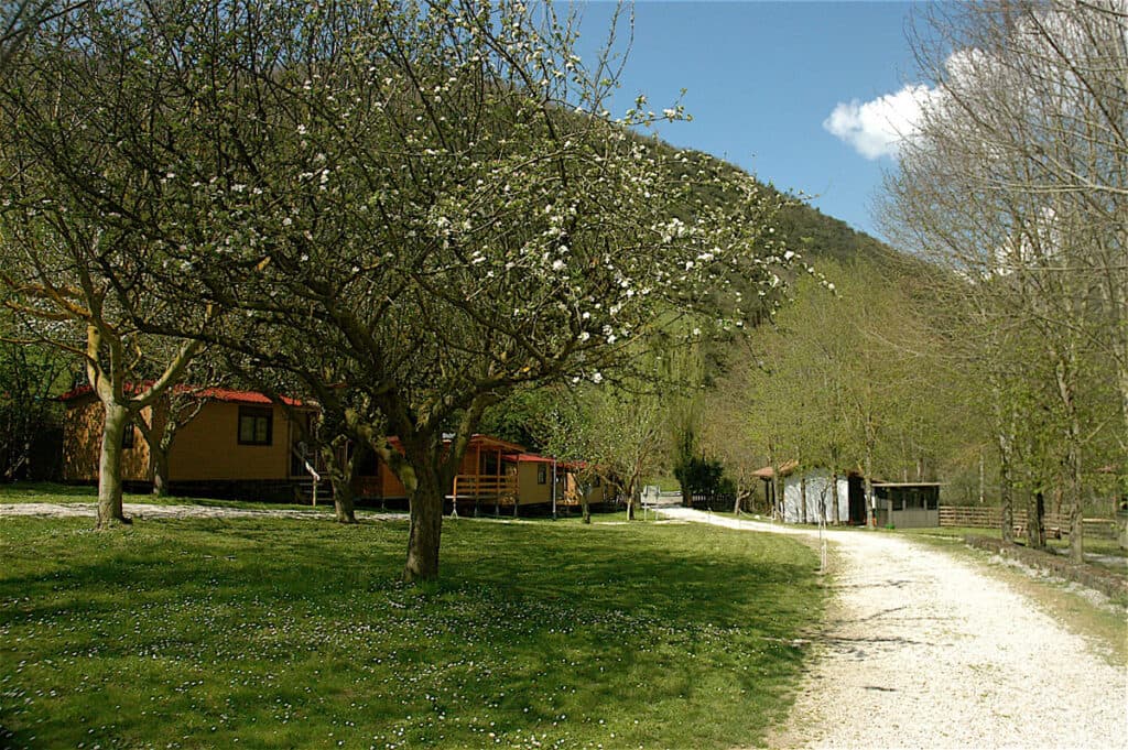 Camping El Molino - Foto 2