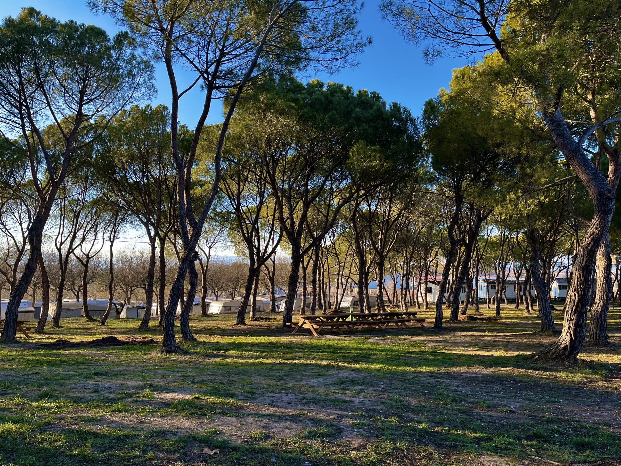 Camping Freixa Manresa - Foto 2