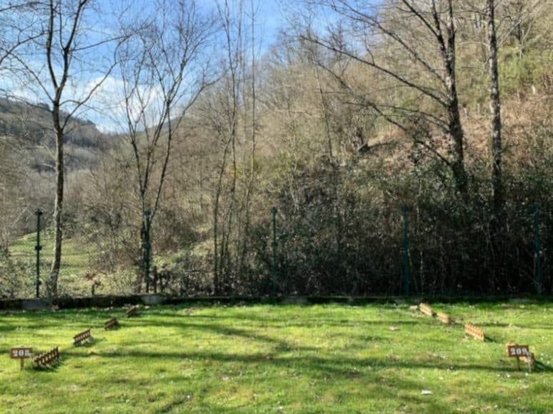 Camping Igara de San Sebastián - Foto 3