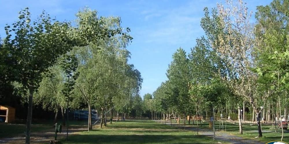 Camping y Bungalows La Chopera - Foto 2