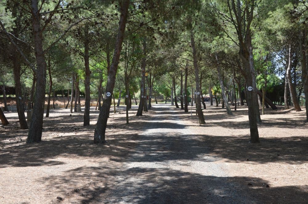 Camping Nature | Camping cerca de las Bardenas Reales - Foto 1