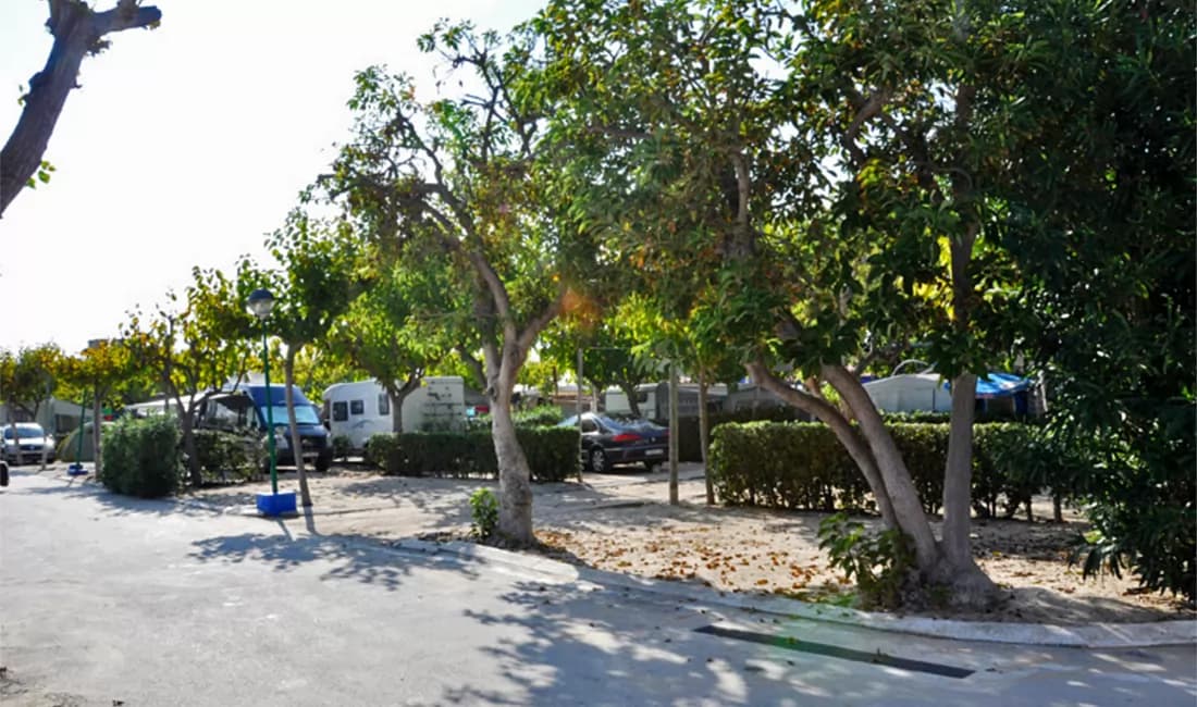 Camping Pepe · Playa de Oliva - Foto 3