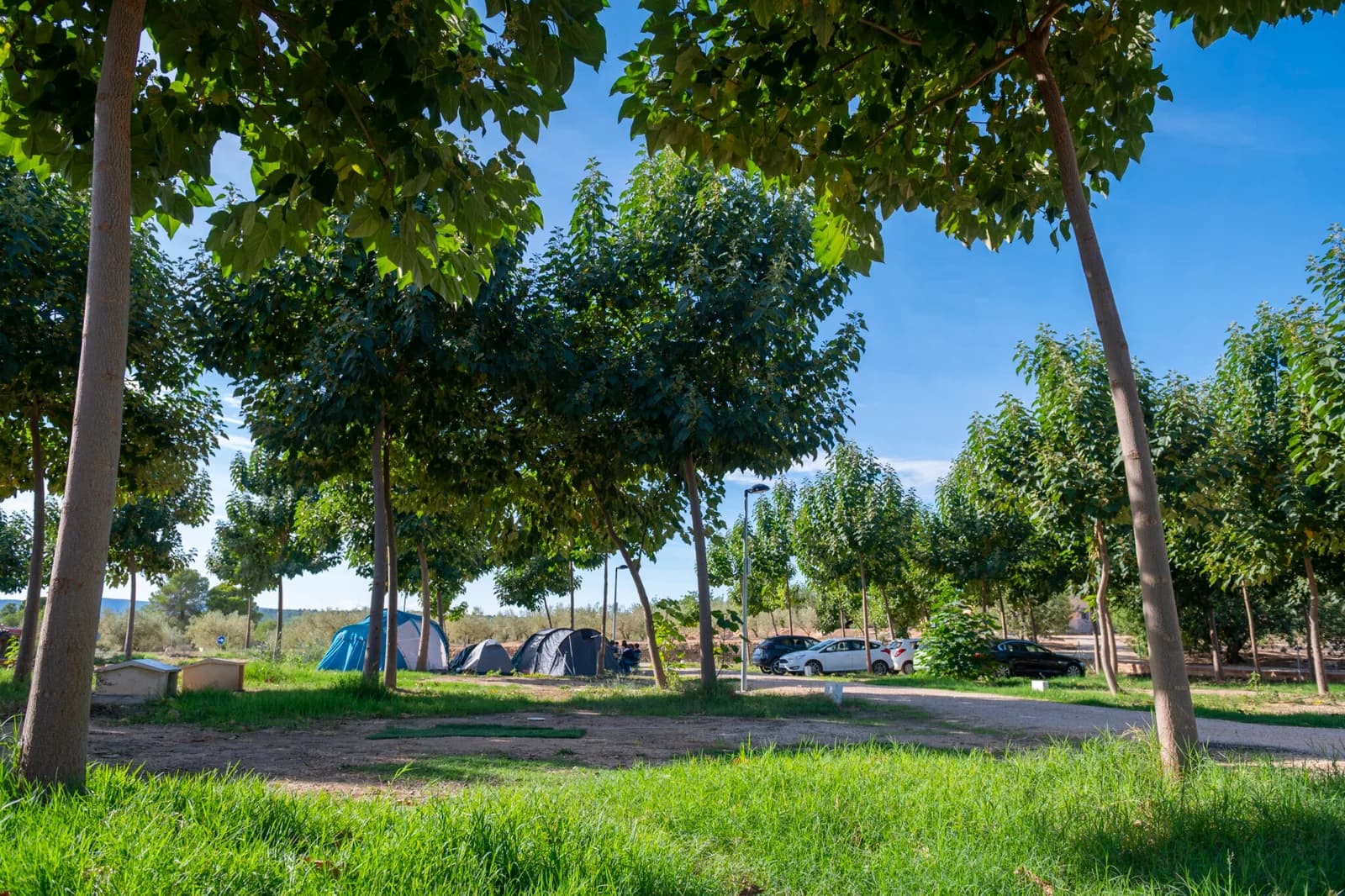 Camping Playamonte - Foto 3