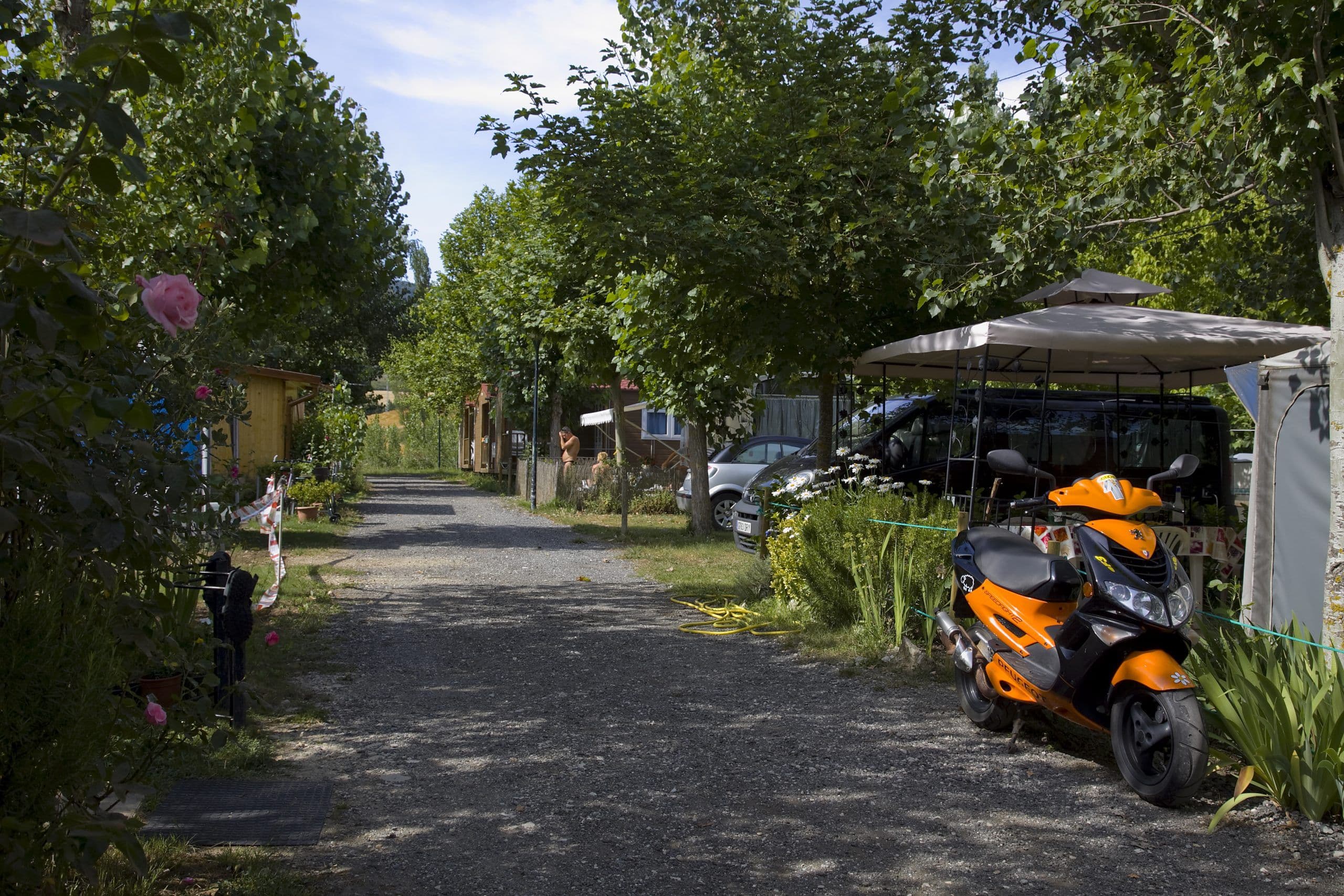 Camping Riezu - Navarra - Foto 3