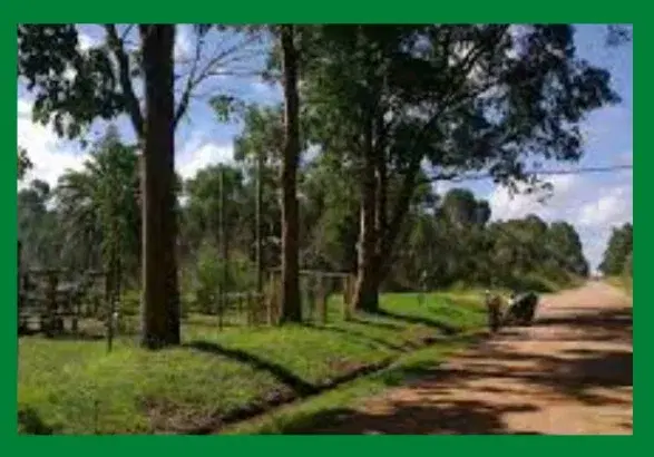 Camping Yemanja - Foto 3