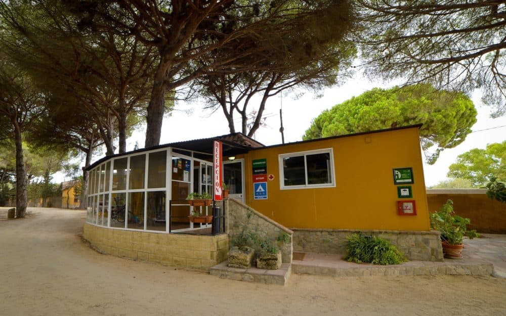 Camping Vejer - Foto 3