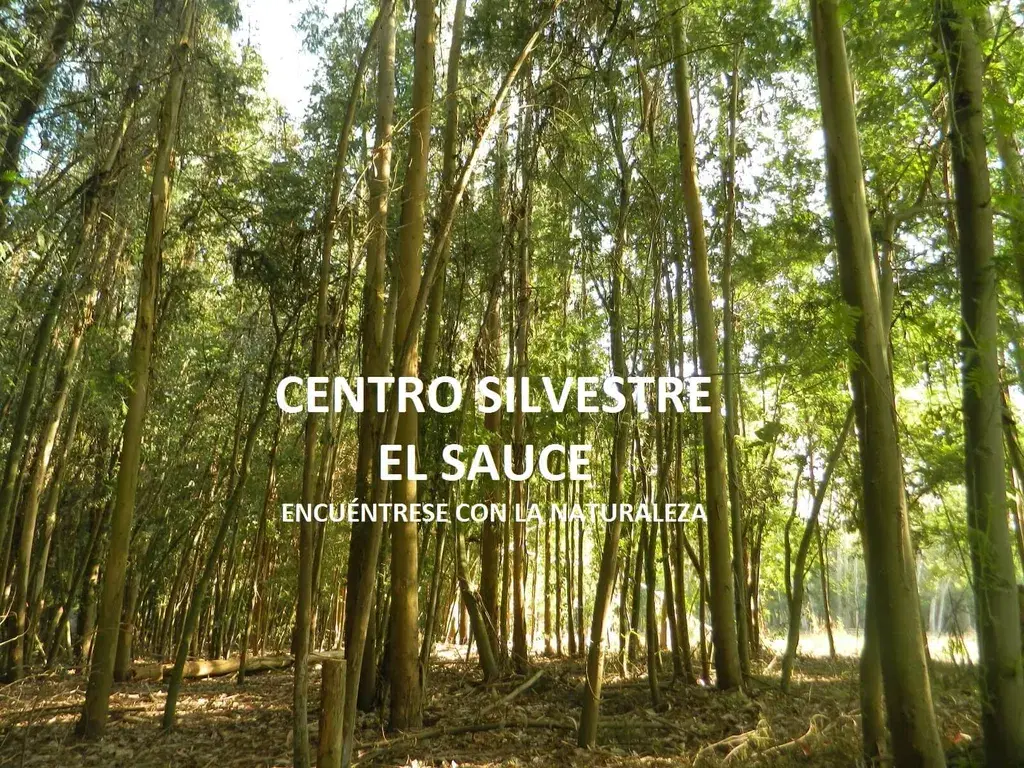 Centro Silvestre El Sauce