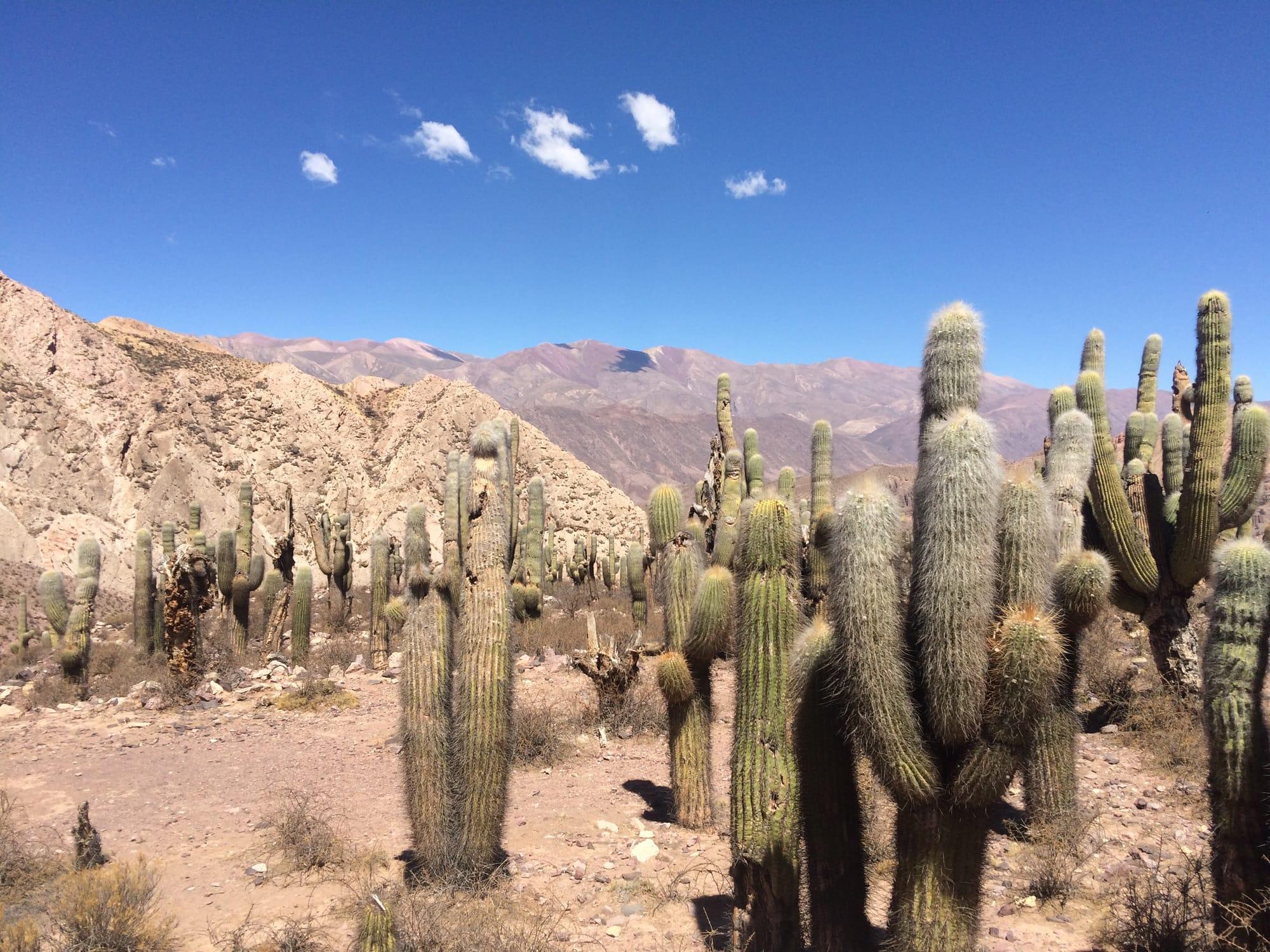 Camping Cocodrilos - Foto 5