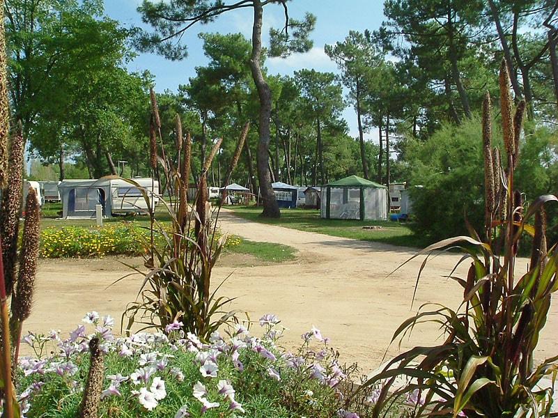 Camping La Maltournée - Foto 5