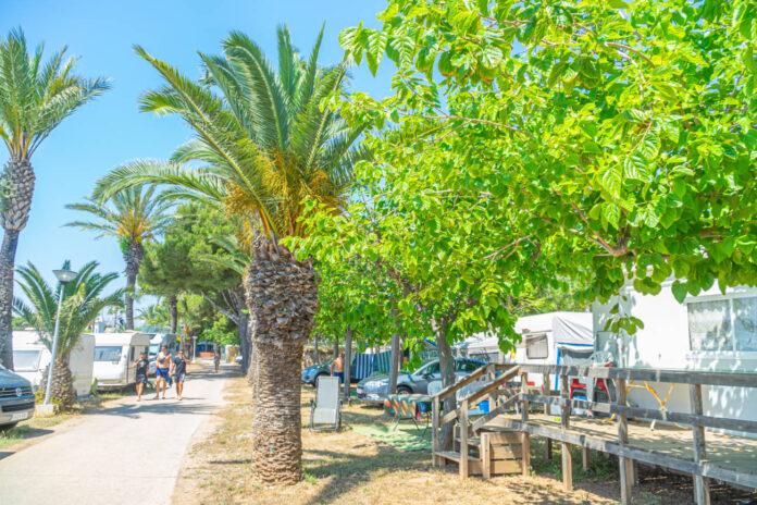 Camping Orilla Verde - Foto 6