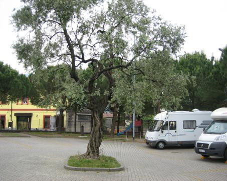 Area Sosta Camper - Cima - Foto 6