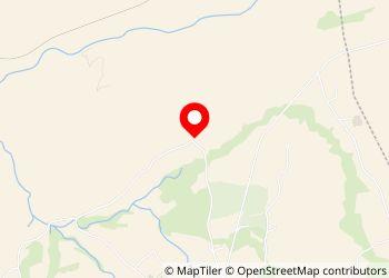 Camper Park Alfafara - Foto 4