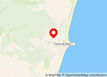 Camping La Pineta - Foto 6