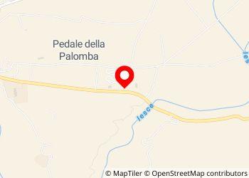 Area camper kartodromo Matera - Foto 6