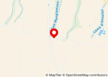 Area Sosta Camper Ostuni - Masseria Appia Traiana - Foto 3