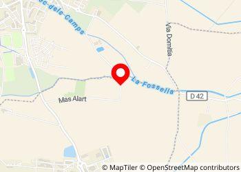 Mas Alart - Accueil de Camping-cars - Foto 7