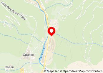 Val d'Aran Camper park - Foto 5