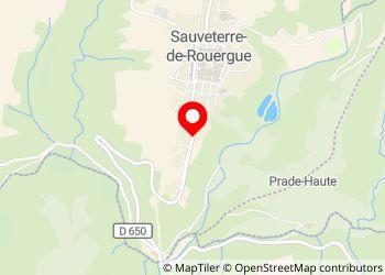 Aire Camping Car Municipal - Sauveterre de Rouergue - Foto 3