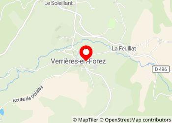 Aire de camping car VERRIERES EN FOREZ - Foto 4