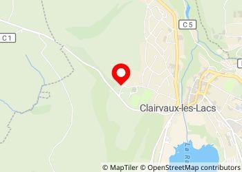 Aire Camping Car - Clairvaux-les-Lacs [AireServices] - Foto 5