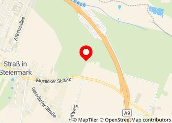 Wohnmobil- und Wohnwagenstellplatz 8471 Unterschwarza - Foto 4