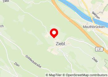 Wohnmobil- und Wohnwagenstellplatz Nagelerhof - Foto 4