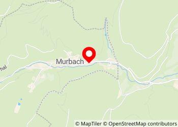 Aire de camping-car MURBACH - Foto 4