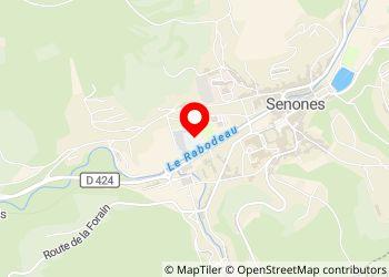 Aire de Services Camping Cars 88210 Senones - Foto 7