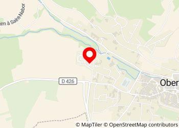 Camping municipal d'Obernai "The Vallon Ehn" - Foto 7