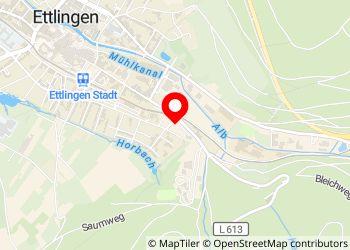 Wohnmobilstellplatz - Ettlingen - Foto 4