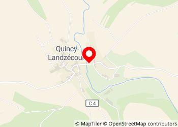 Quincy Landzécourt - Foto 6