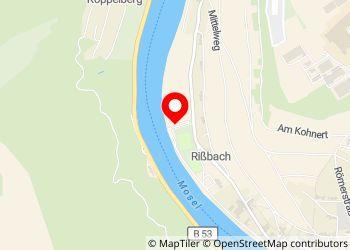 Wohnmobilstellplatz Traben-Trarbach - Foto 5