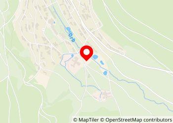 Womo Stellplatz am Kurpark - Foto 2