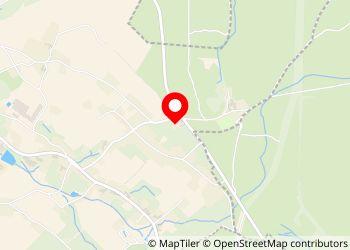 Wohnmobilstellplatz Berghof Seiffen - Foto 6