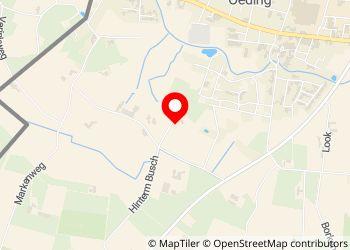 Wohnmobilstellplatz Hinterm-Busch - Foto 7