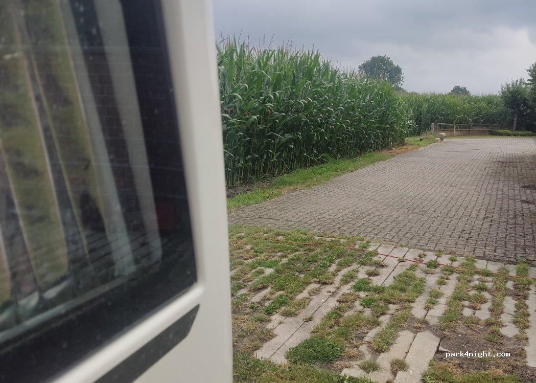 Wohnmobilstellplatz in Südlohn-Oeding auf dem Hof Wameling - Foto 2