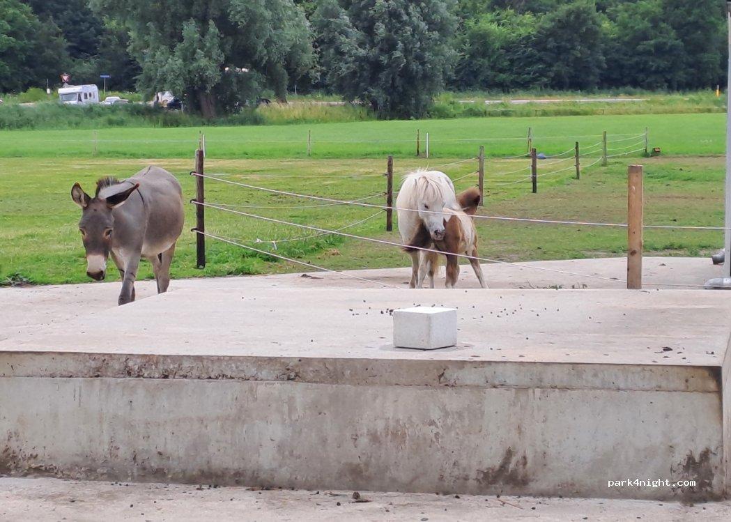 Camping Groningen International - Foto 6