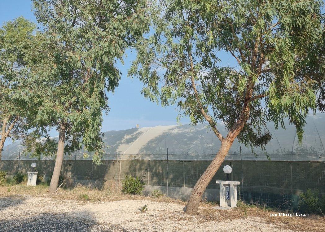 Sosta Camper Zapponeta - La Risaia - Foto 4