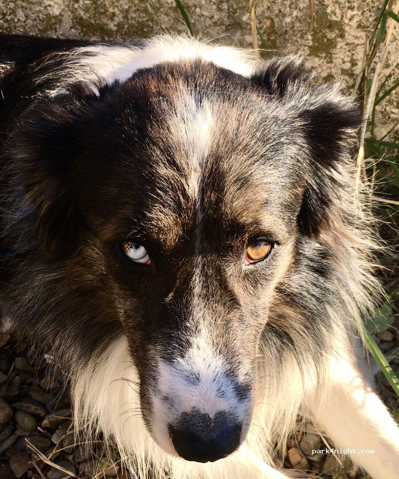 Camping-car à la ferme - Foto 5