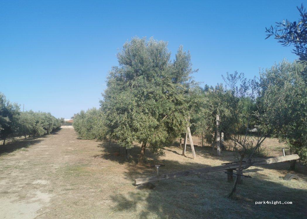 Area Attrezzata Camper Nelly - Foto 3